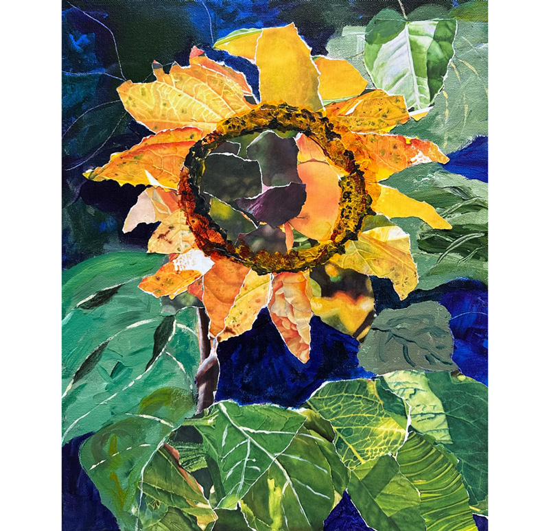 Rogers-Sunflower-Collage-1-w