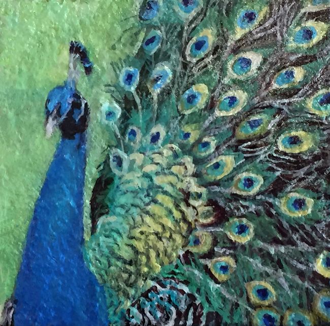 Peacock-Mini---(w)-