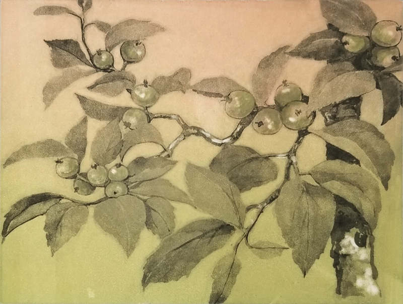Yoshizawa-little-green-apples-w