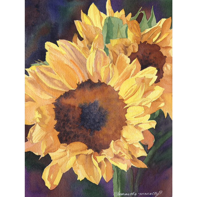 McNally--Sunflowers-(w)