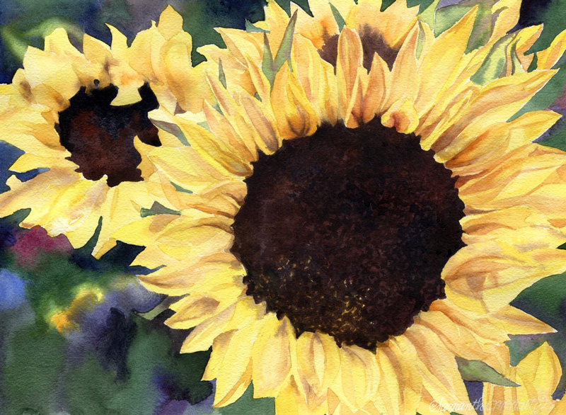 sunflower-ukraine--W-