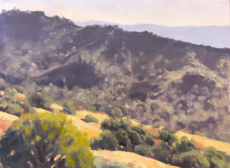 McNeill_Canyon-View-web