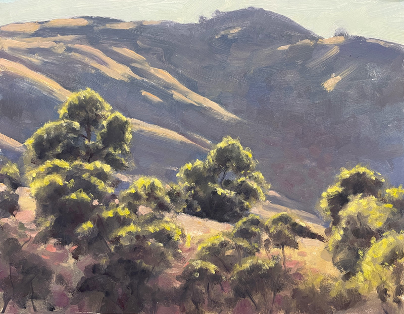 McNeill_Morning-View-on-Diablo