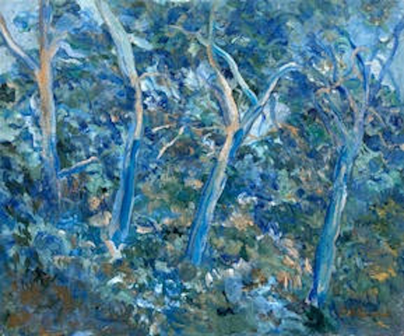 Candioti_BThe Blue Woods WP