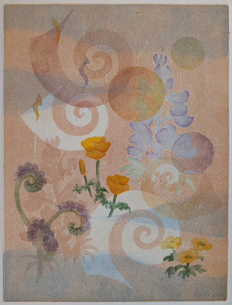 DeBoer_Wildflower Spirals WP