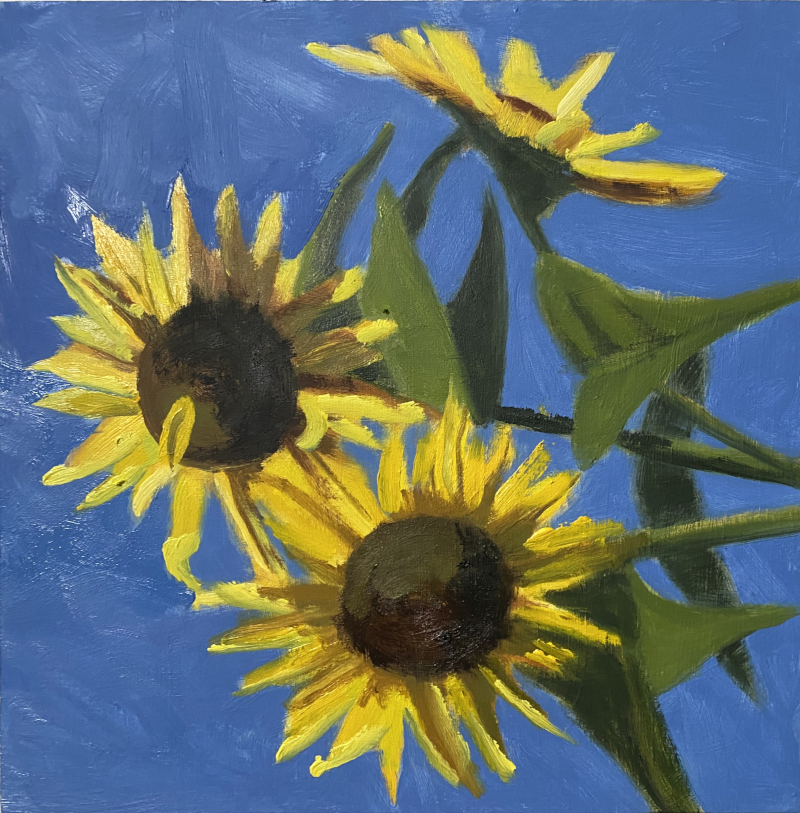 Gadway_Sunflowers WP