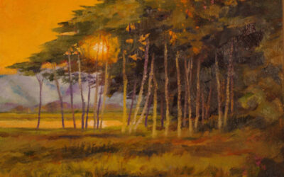 Ed Lucey