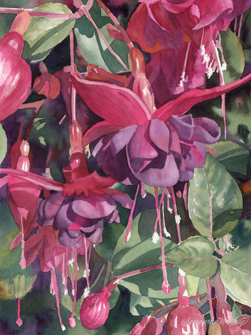 McNally-Fuschia