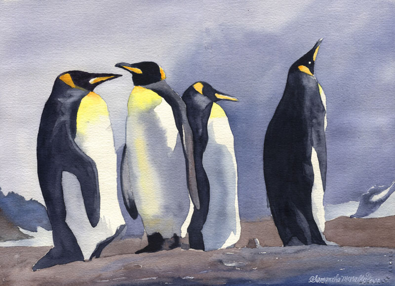McNally-Penguins