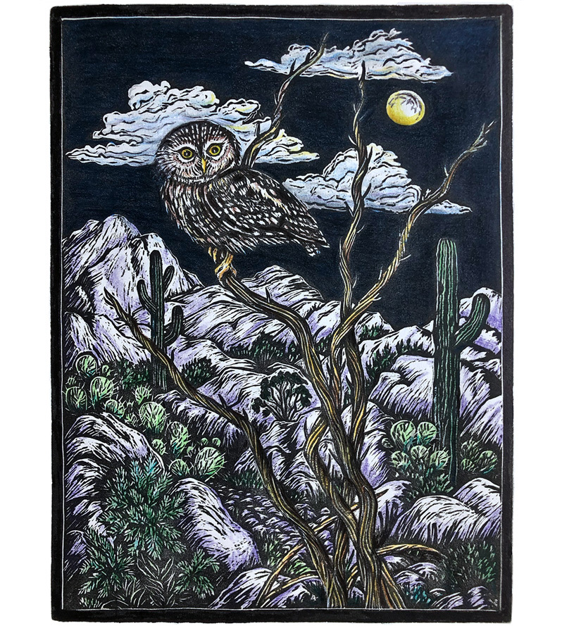 Reimann-Owls-(wr)--