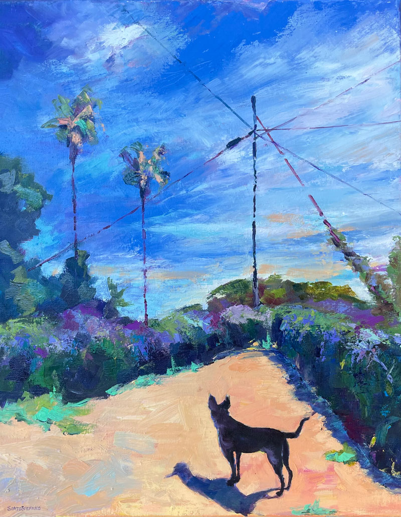 SantoStefano-Dog-on-a-Mission