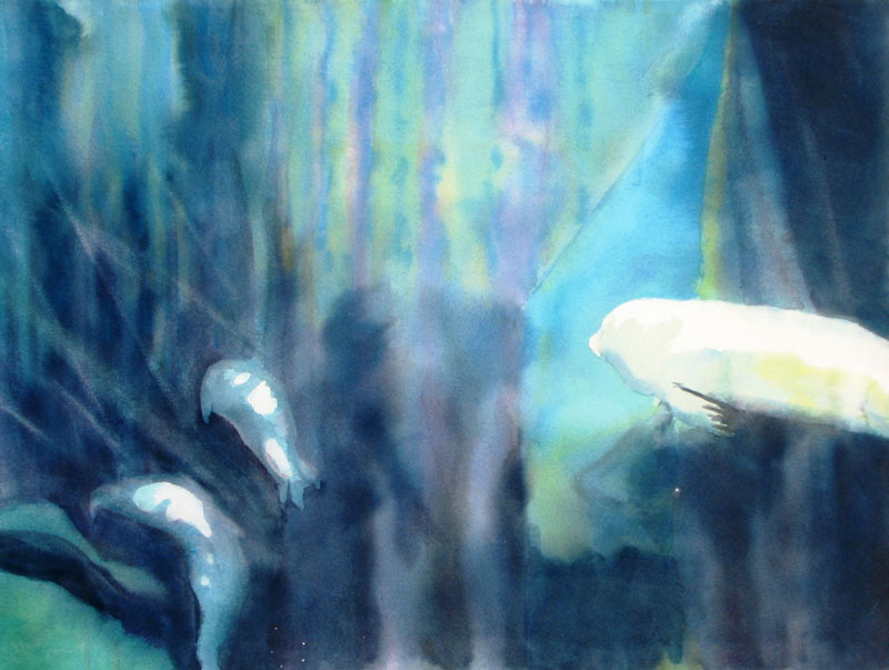 Sklar-Appreciation-(Harbor-Seals)