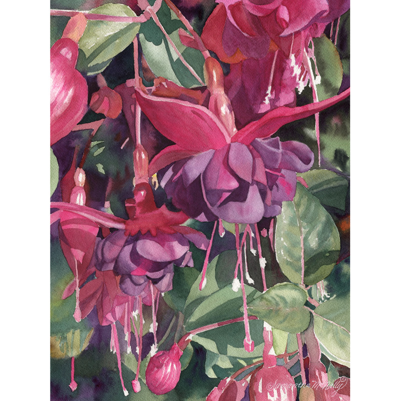 McNally-Fuchsia-(wr)